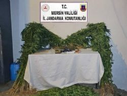 JANDARMADAN UYUTURUCU MADDE OPERASYONU